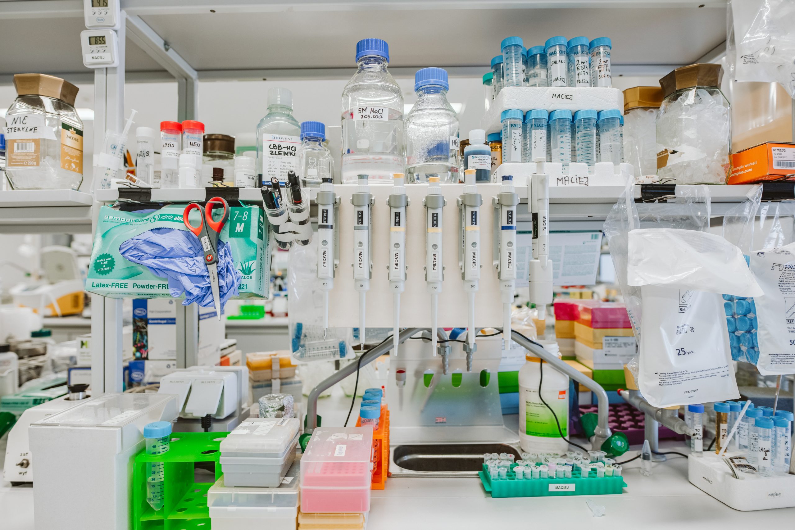 lab